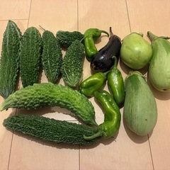 【無農薬・家庭菜園】ゴーヤ、ナス、ピーマンなど新鮮野菜セットの画像