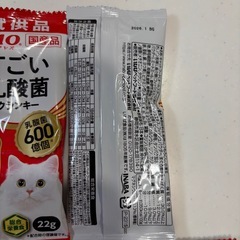 猫　すごい乳酸菌　の画像