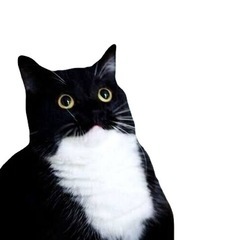 10月読書会！✌️📕気軽にきてね✌️