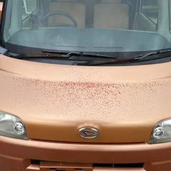 アウトレット車 タント Xリミテッド スマイルセレクションの画像