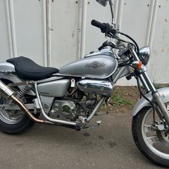 【動画あり】マグナ50 カスタムマフラーサイドカバー ホンダの画像