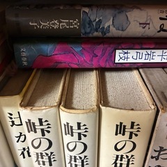 単行本色々　の画像