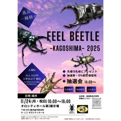 カブト・クワガタ即売会【FEELBEETLE】-Kagos…