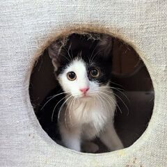 ♡甘えんぼで穏やかな兄弟♡家族募集中