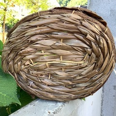 自然素材　ナチュラル　鉢カバー　花器　花入　グリーンカバー　バスケット　楕円形の画像