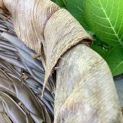 自然素材　ナチュラル　鉢カバー　花器　花入　グリーンカバー　バスケット　楕円形の画像