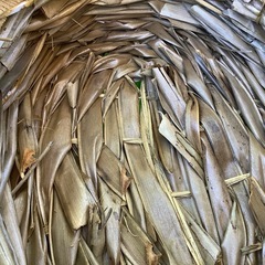 自然素材　ナチュラル　鉢カバー　花器　花入　グリーンカバー　バスケット　楕円形の画像