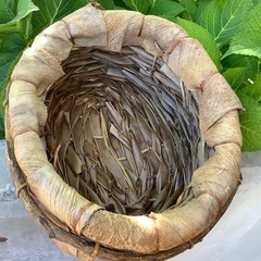 自然素材　ナチュラル　鉢カバー　花器　花入　グリーンカバー　バスケット　楕円形の画像