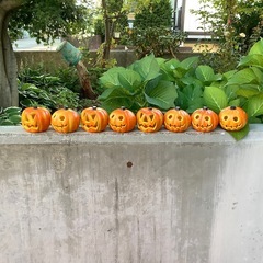 ハロウィン　パンプキン　かぼちゃ　ライトアップ　8点　飾り　HALLOWEENの画像