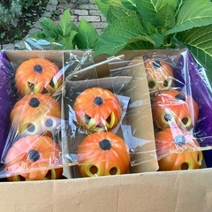 ハロウィン　パンプキン　かぼちゃ　ライトアップ　8点　飾り　HALLOWEENの画像