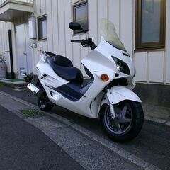 ホンダ　フォルツァ250(MF06)　実働中古車　オイル交換後引き渡し　タイヤバリ山　リアキャリア付き　ナンバー登録書類無料の画像
