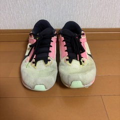 29.0 ナイキ メンズ ランニングシューズの画像