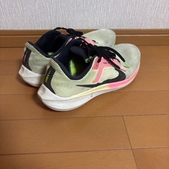 29.0 ナイキ メンズ ランニングシューズの画像