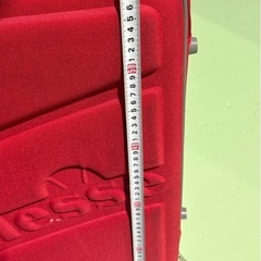近日処分　キャリーケースの画像