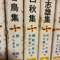 【古書】新日本少年少女文学全集　ポプラ社　全40巻の画像