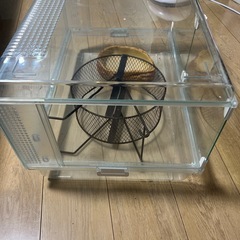グラスハーモニー600 小動物ゲージの画像