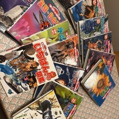 サムネイル