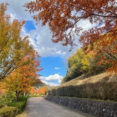秋の〜さんぽ〜🍁