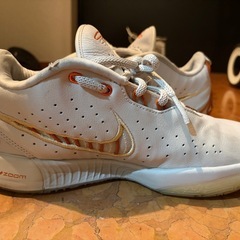 【26cm】ナイキレブロン21
バッシュ　スニーカーの画像