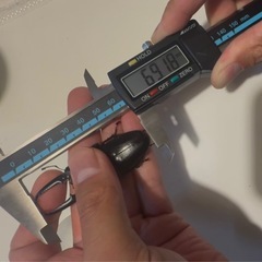 ツシマヒラタクワガタ　♂69ミリ単品　新成虫 国産の画像