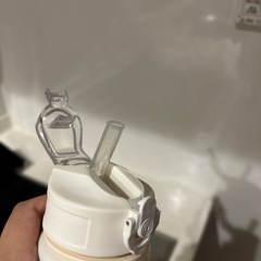 水筒　イタリアンブレインロットの画像