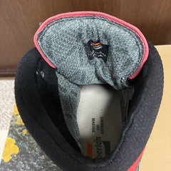 ザンバラン　ジョラスGT  25㌢の画像