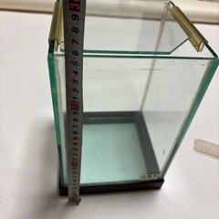 水槽　ガラス　ベタ　未使用の画像