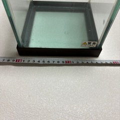 水槽　ガラス　ベタ　未使用の画像