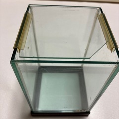 水槽　ガラス　ベタ　未使用の画像