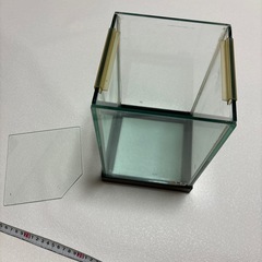 水槽　ガラス　ベタ　未使用の画像