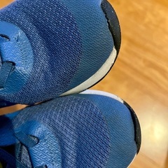 NIKEのシューズ　21.5cmの画像
