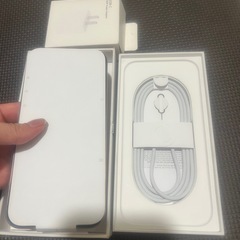 iPhone 16 pro maxの画像