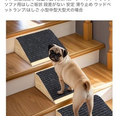 ペット用スロープの画像