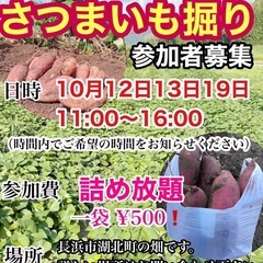長浜市にてイモホリ体験（一袋500円）