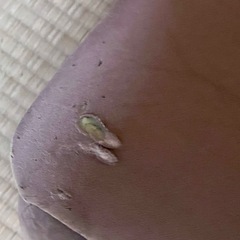 長椅子
の画像