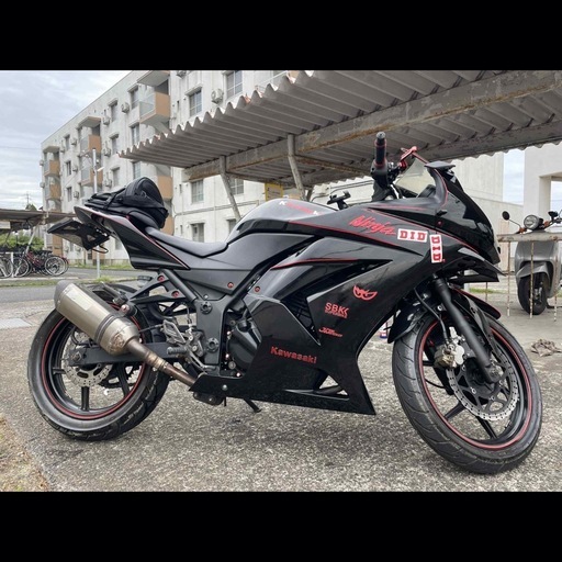 カワサキニンジャ250R (決まりました)