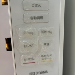 H100943アイリスオーヤマ 17L 700wの画像