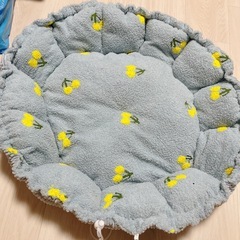 ペットベットの画像