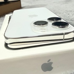 Apple iPhone 14 Pro シルバー 本体の画像