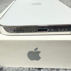 Apple iPhone 14 Pro シルバー 本体の画像