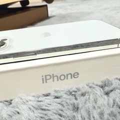 Apple iPhone 14 Pro シルバー 本体の画像