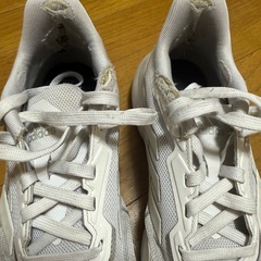 スニーカー レディース の画像