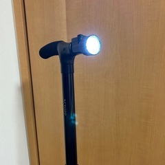 ウォーキングストックの画像