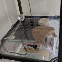 爬虫類飼育セット（暖突、保温球、パネルヒーター付）の画像