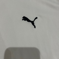 プーマTシャツの画像