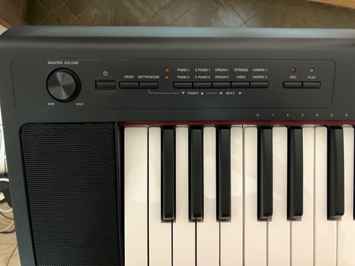YAMAHA ピアジェーロ　NP32