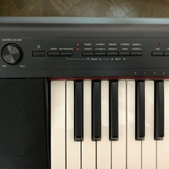 YAMAHA ピアジェーロ　NP32の画像