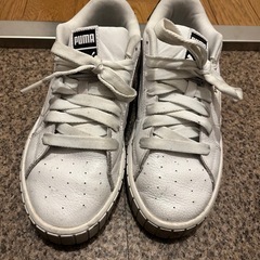 PUMAホワイトスニーカー24cmの画像