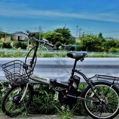 ＰＥＬＴＥＣＨペルテック 折りたたみ電動アシスト自転車の画像