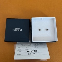 TSUTSUMI Pt900 ブラックダイヤモンドの画像